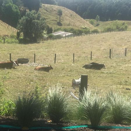 Pukeko Lodge Bnb New Plymouth Exteriör bild