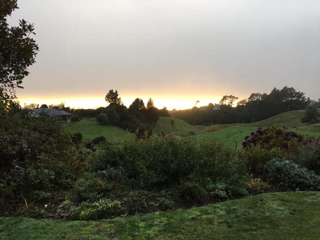 Pukeko Lodge Bnb New Plymouth Exteriör bild