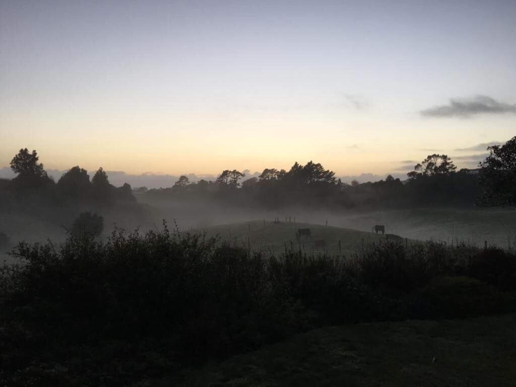 Pukeko Lodge Bnb New Plymouth Exteriör bild