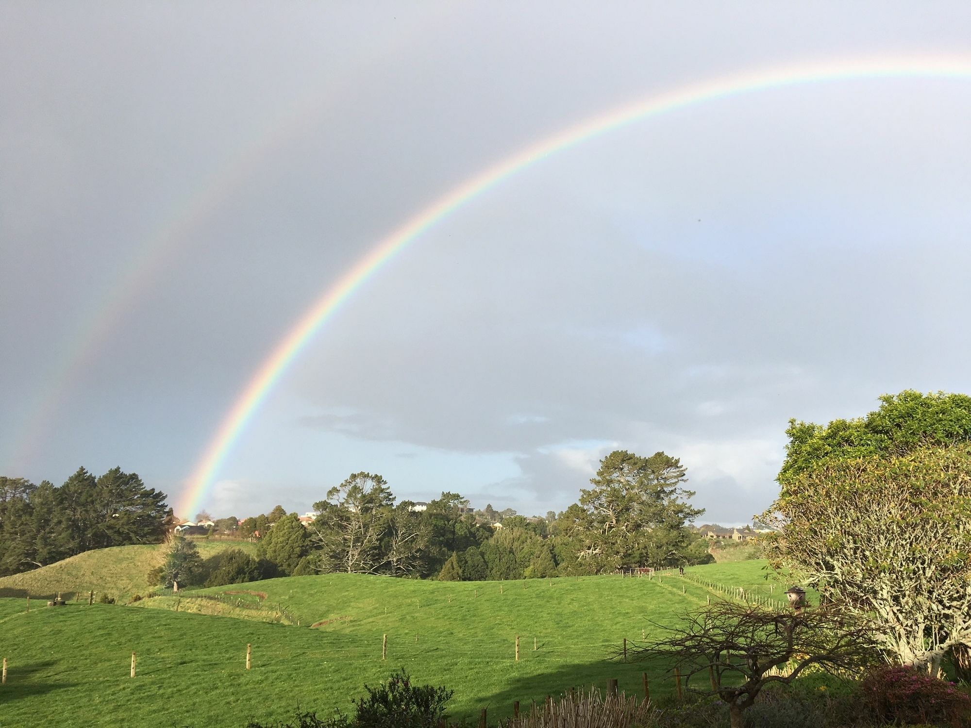 Pukeko Lodge Bnb New Plymouth Exteriör bild